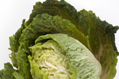 Unlock Rich Flavors: The Ultimate Braised Cabbage Recipe Guide
