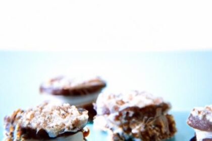 Decadent Chocolate Coconut Macaroons: A Sweet Tropical Treat