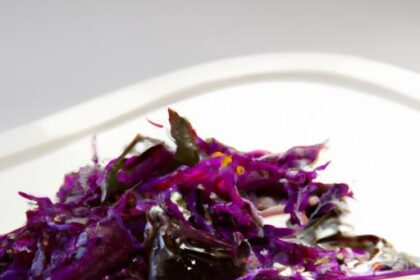 Tangy Bliss: The Art of Sweet and Sour Red Cabbage