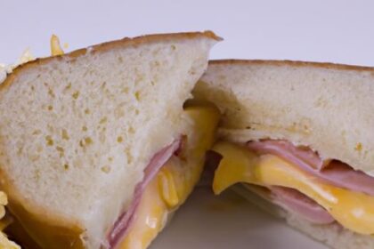 Turkey and Cheese Sandwich: A Classic Bite with Savory Twist